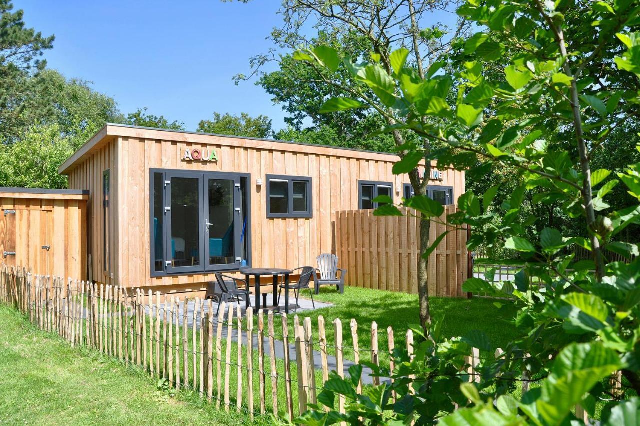 Chalet Studio Aqua - Campanula - Sint Maartenszee Villa Sint Maartensvlotbrug Екстериор снимка